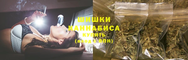 сатива Бежецк