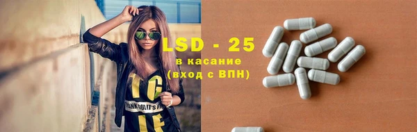 PSILOCYBIN Кулебаки