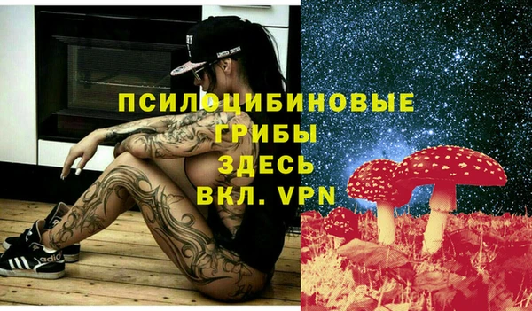 ГАЛЛЮЦИНОГЕННЫЕ ГРИБЫ Краснотурьинск
