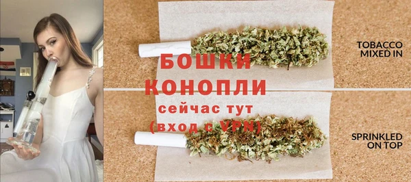 ГАЛЛЮЦИНОГЕННЫЕ ГРИБЫ Краснотурьинск