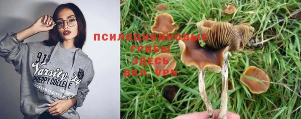 кристаллы Краснослободск