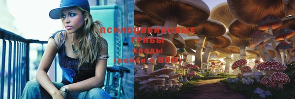 кристаллы Краснослободск